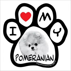 Pomeranian Photo Paw Magnet