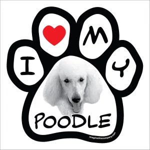 Poodle Photo Paw Magnet