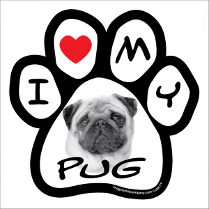 Pug Photo Paw Magnet