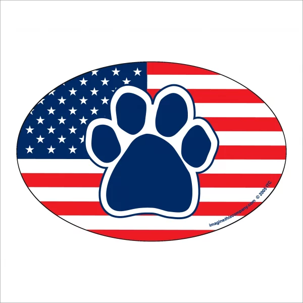 American Flag Oval Magnet