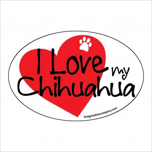 I Heart My Chihuahua Oval Magnet