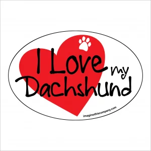 I Heart My Dachshund Oval Magnet