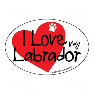 I Heart My Lab Oval Magnet