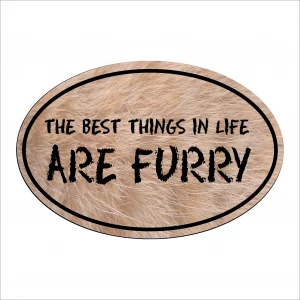 Furry The Best Things in Life Are Furry Oval Magnet