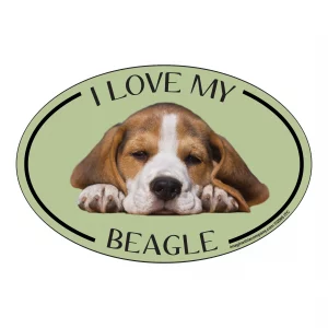 I Love my Beagle Breed Oval Magnet