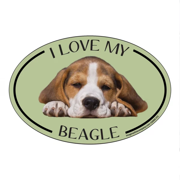 I Love my Beagle Breed Oval Magnet