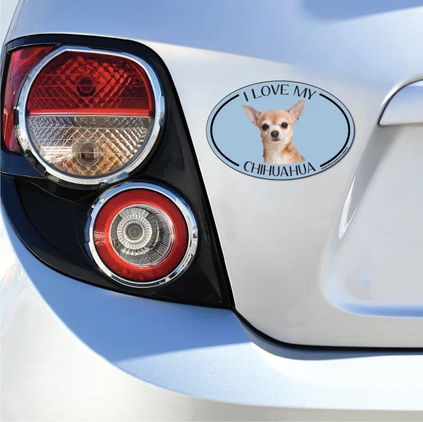 I Can Talk Can you Fly? Oval Magnet - Image 3