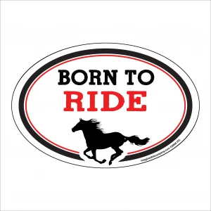 Born To Ride Oval Magnet