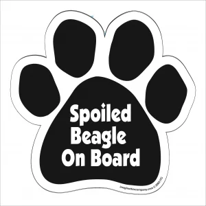Spoiled Beagle On Board Paw Magnet