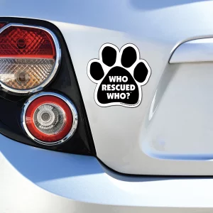 Pet Magnets