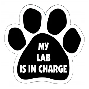 My Lab is in Charge Paw Magnet