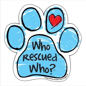 who rescued who scribble paw magnet