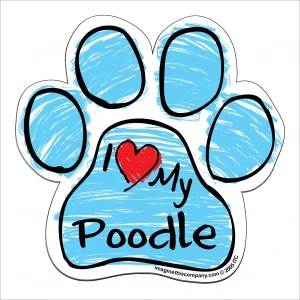 Poodle Blue Scribble Paw Magnet