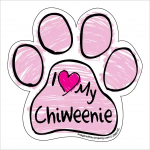 Chiweenie Pink Scribble Paw Magnet
