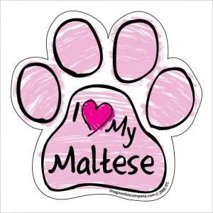 Maltese Pink Scribble Paw Magnet