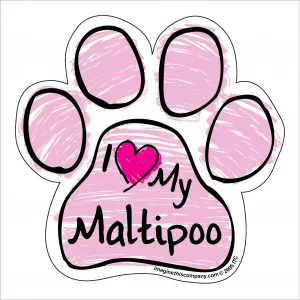 Maltipoo Pink Scribble Paw Magnet