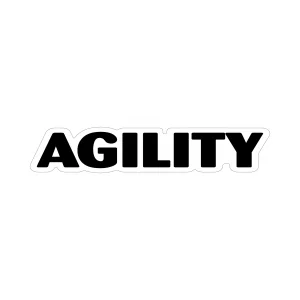 Agility Word Magnet