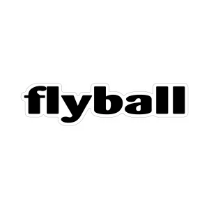 Flyball Word Magnet