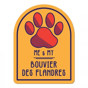 Me and My Bouvier Des Flandres Window Shaped Magnet