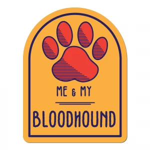 Me and My Bloodhound Window Shaped Magnet