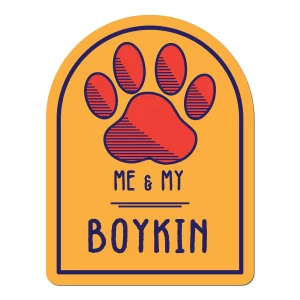 Me and My Boykin Window Shaped Magnet