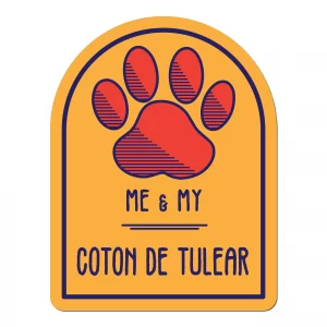 Me and My Coton De Tulear Window Shaped Magnet