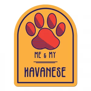 Me and My Havanese Window Shaped Magnet