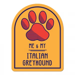 Me and My Italian Greyhound Window Shaped Magnet