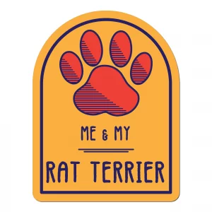 Me and My Rat Terrier Window Shaped Magnet