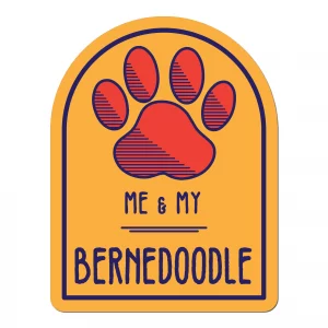 Me and My Bernadoodle Window Shaped Magnet