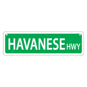 Havanese Mini Street Sign