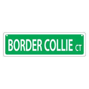 Border Collie Mini Street Sign
