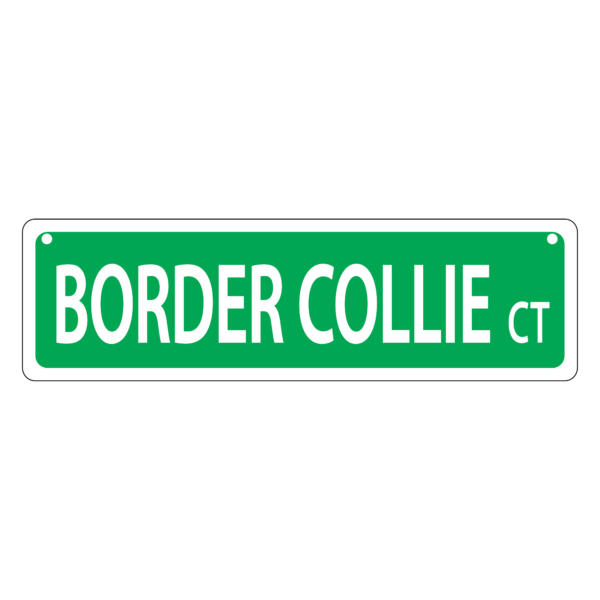 Border Collie Mini Street Sign