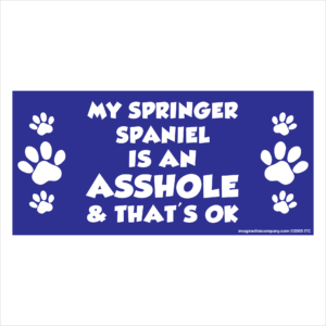 My Springer Spiel is an Asshole 2.75" x 5.75" Rectangle Magnet