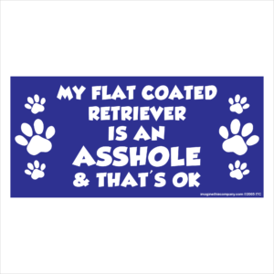 My Flat-Coated Retriever is an Asshole 2.75" x 5.75" Rectangle Magnet