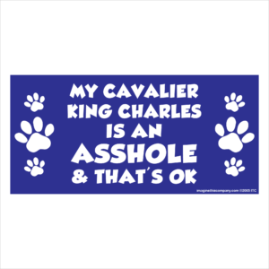 My Cavalier King Charles is an Asshole 2.75" x 5.75" Rectangle Magnet