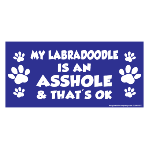 My Labradoodle is an Asshole 2.75" x 5.75" Rectangle Magnet