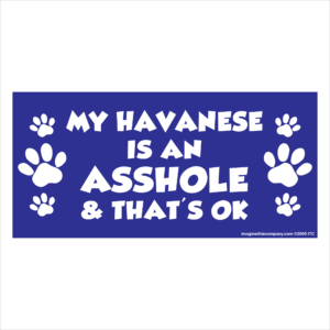 My Havanese is an Asshole 2.75" x 5.75" Rectangle Magnet