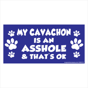 My Cavachon is an Asshole 2.75" x 5.75" Rectangle Magnet