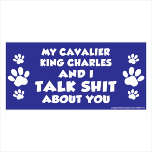 My Cavalier King Charles And I Talk Shit About You 2.75" x 5.75" Rectangle Magnet
