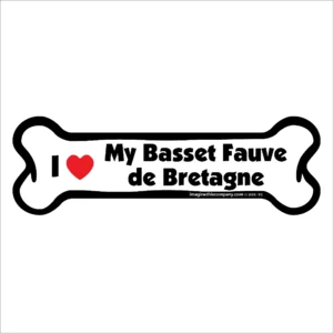 Basset Fauve de Bretagne Bone Magnet