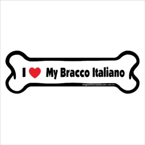 Bracco Italiano Bone Magnet