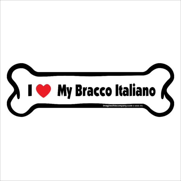 Bracco Italiano Bone Magnet