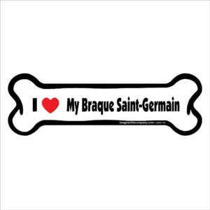 Braque Saint-Germain Bone Magnet