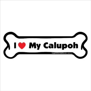 Calupoh Bone Magnet