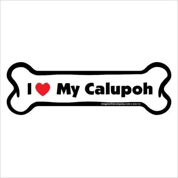 Calupoh Bone Magnet