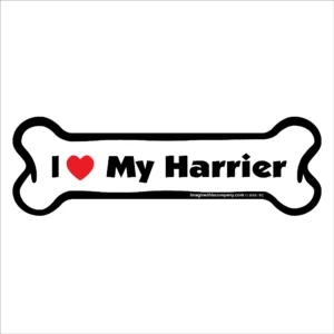 Harrier Bone Magnet
