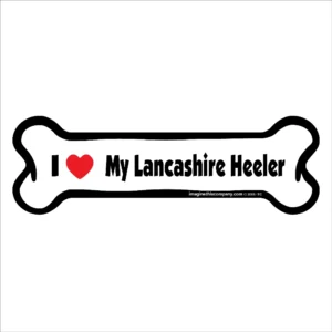 Lancashire Heeler Bone Magnet
