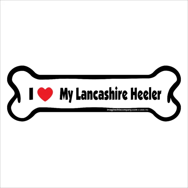 Lancashire Heeler Bone Magnet