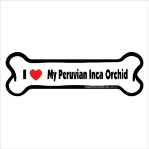 Peruvian Inca Orchid Bone Magnet